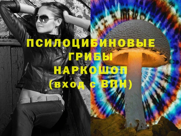 героин Алексин