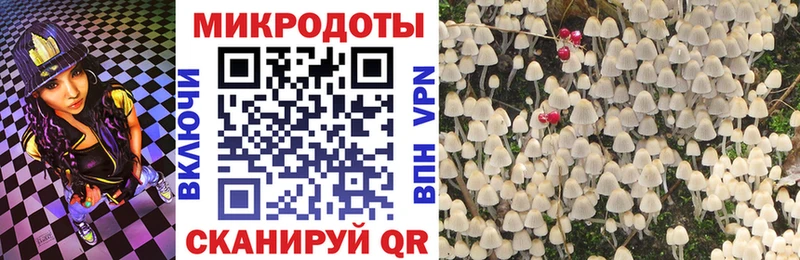 площадка телеграм Ельня Галлюциногенные грибы GOLDEN TEACHER